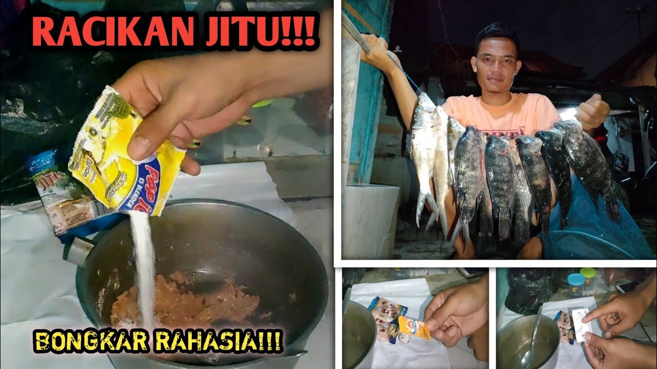 ikan mana yang bisa nolak umpan ini!!! || tutorial racik umpan ikan bandeng dan nila jaer babon