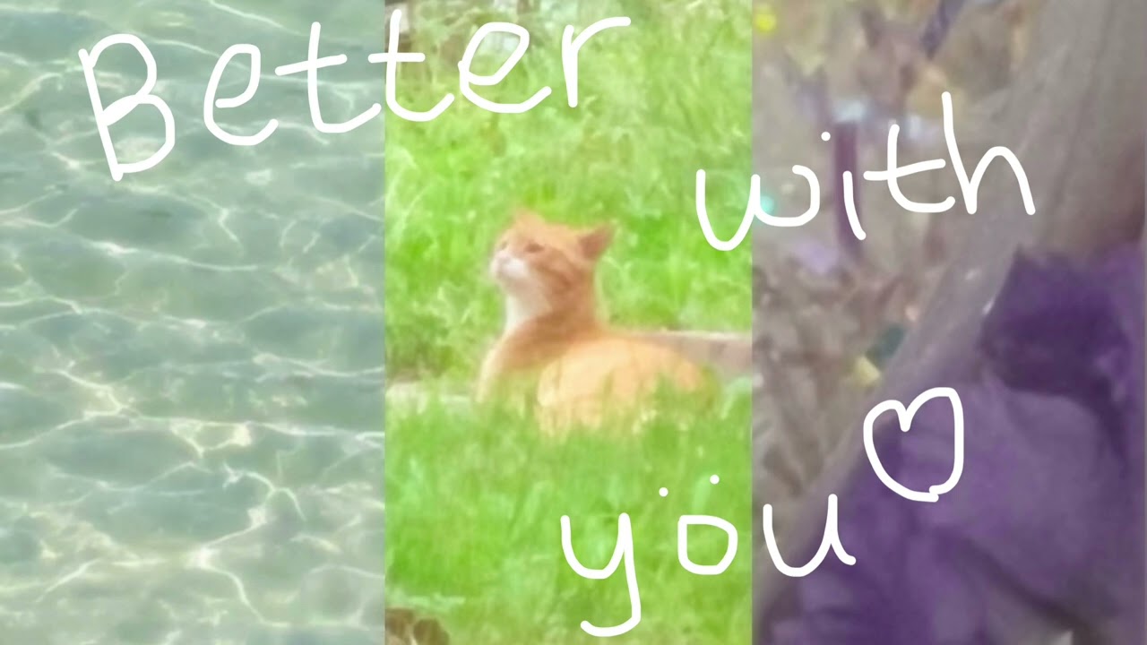 Better with you 💜 cover