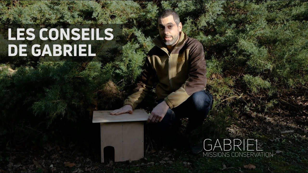 Installe ton abri à hérissons