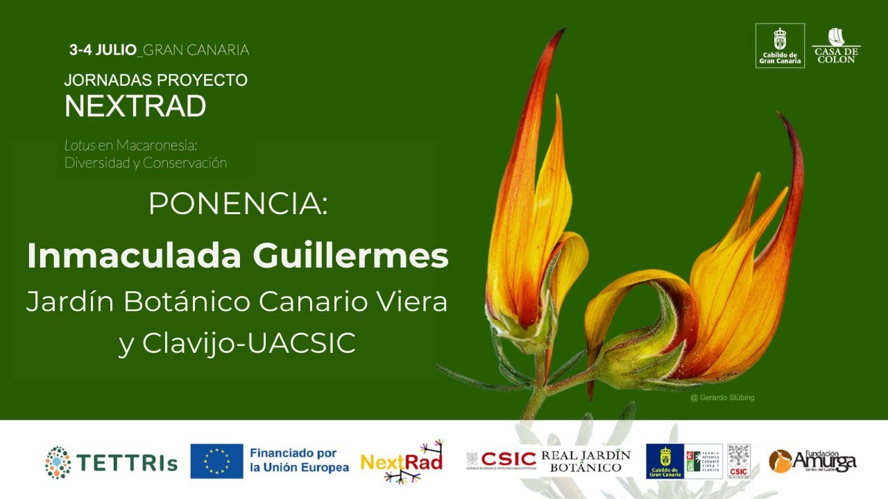 Ponencia: Inmaculada Guillermes. Jornadas NEXTRAD 4 de julio de 2025, Gran Canaria
