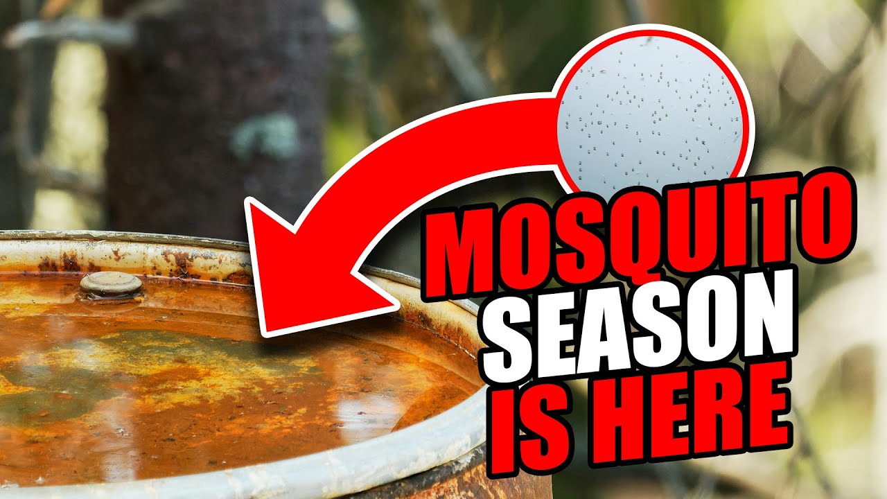 Mosquito prevention PSA