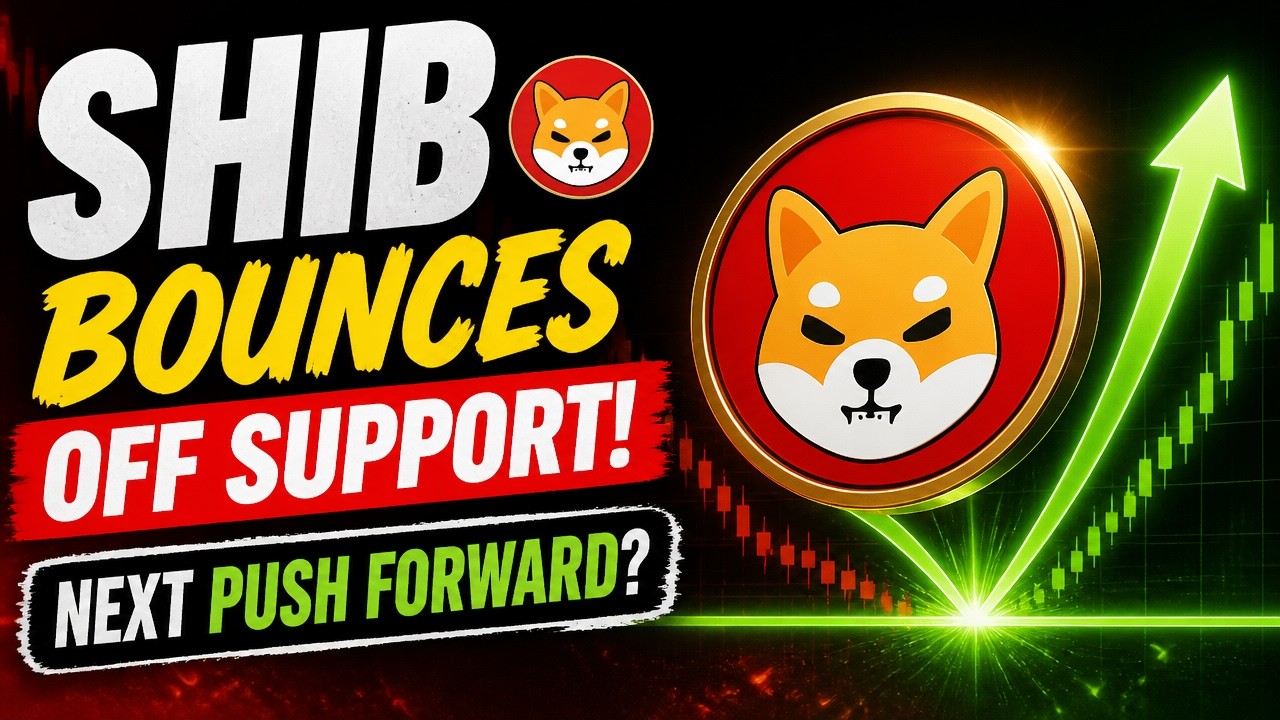 Shiba Inu Coin Bounces Off Support! Next Push Upwards?