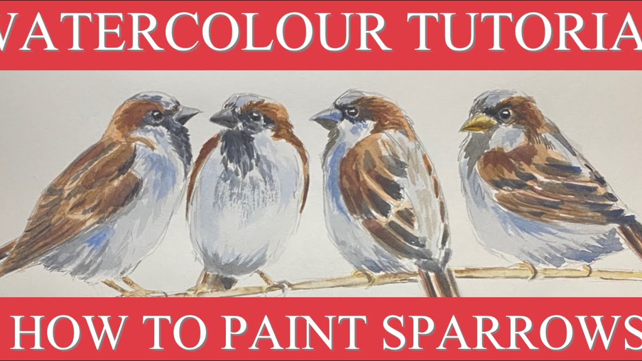 Watercolour tutorial , how to paint sparrows