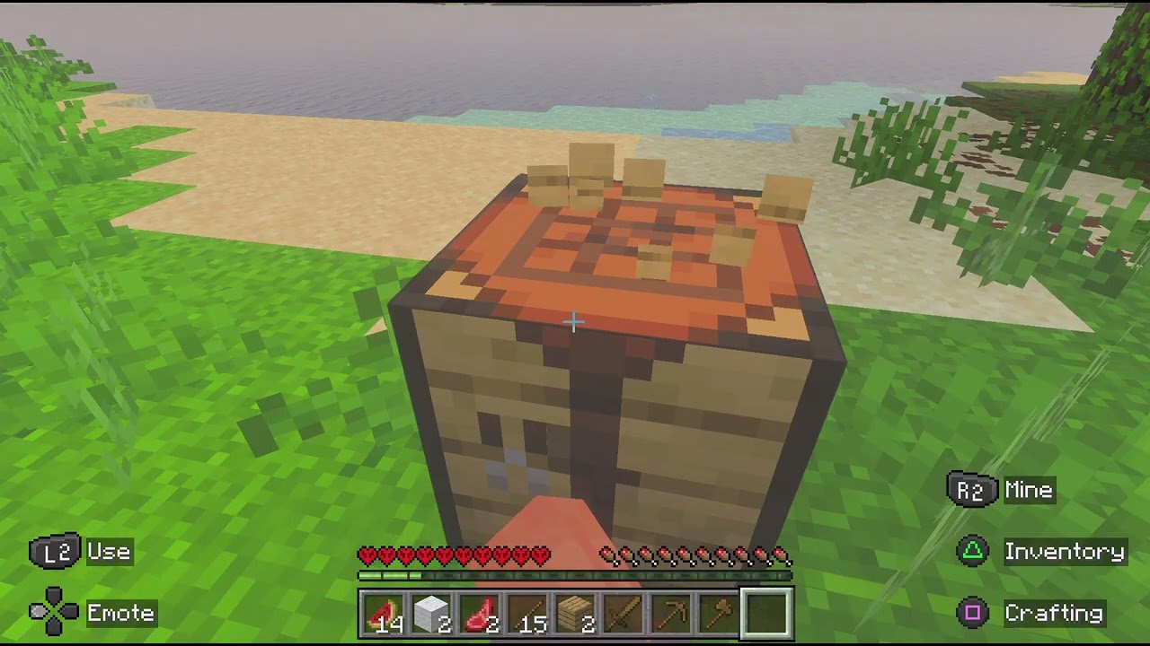 Minecraft_20260306170048