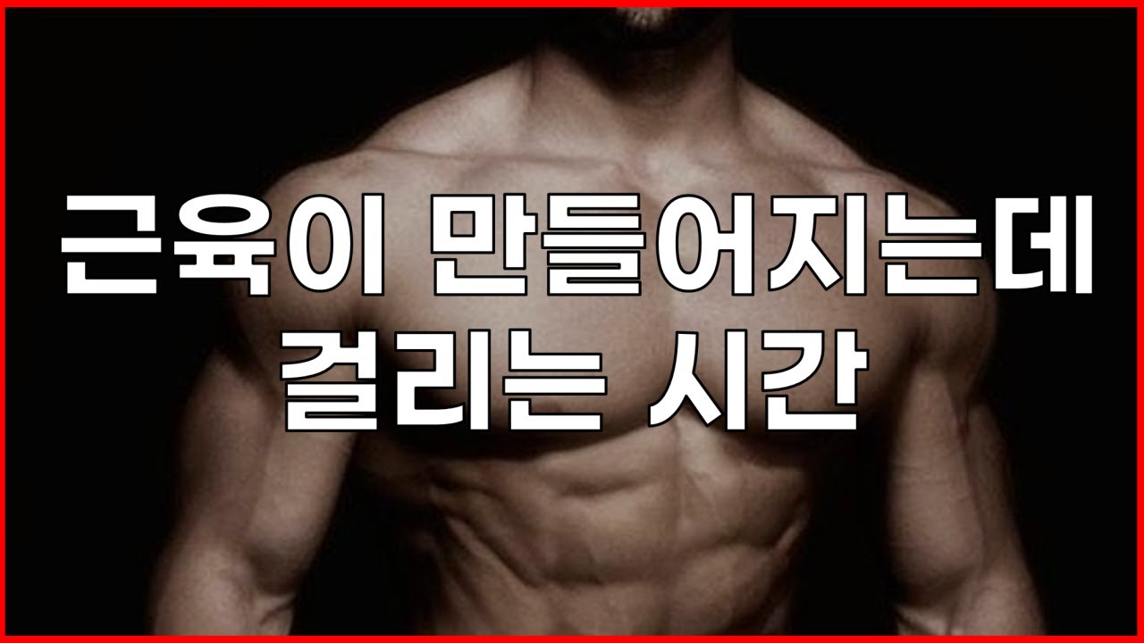 효과적으로 근육량 증가시키는 방법