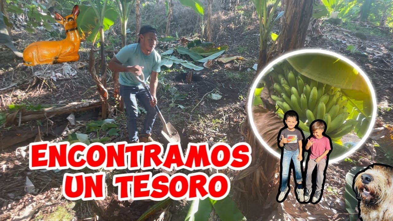 ENCONTRAMOS UN TESORO 