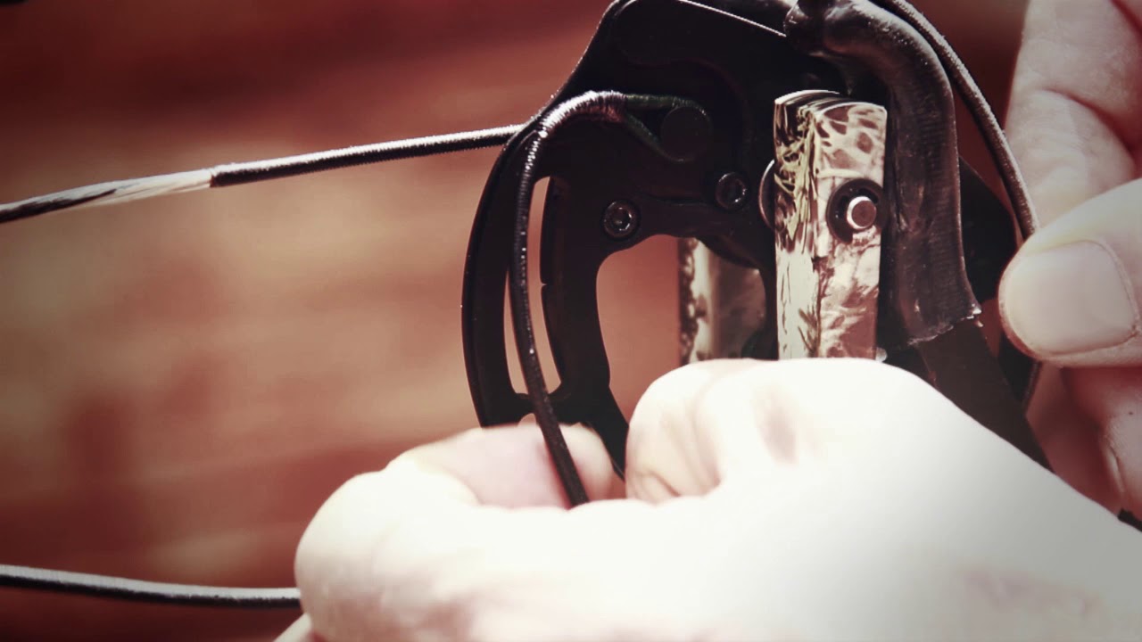 Dead On: How to Adjust Your Draw Length