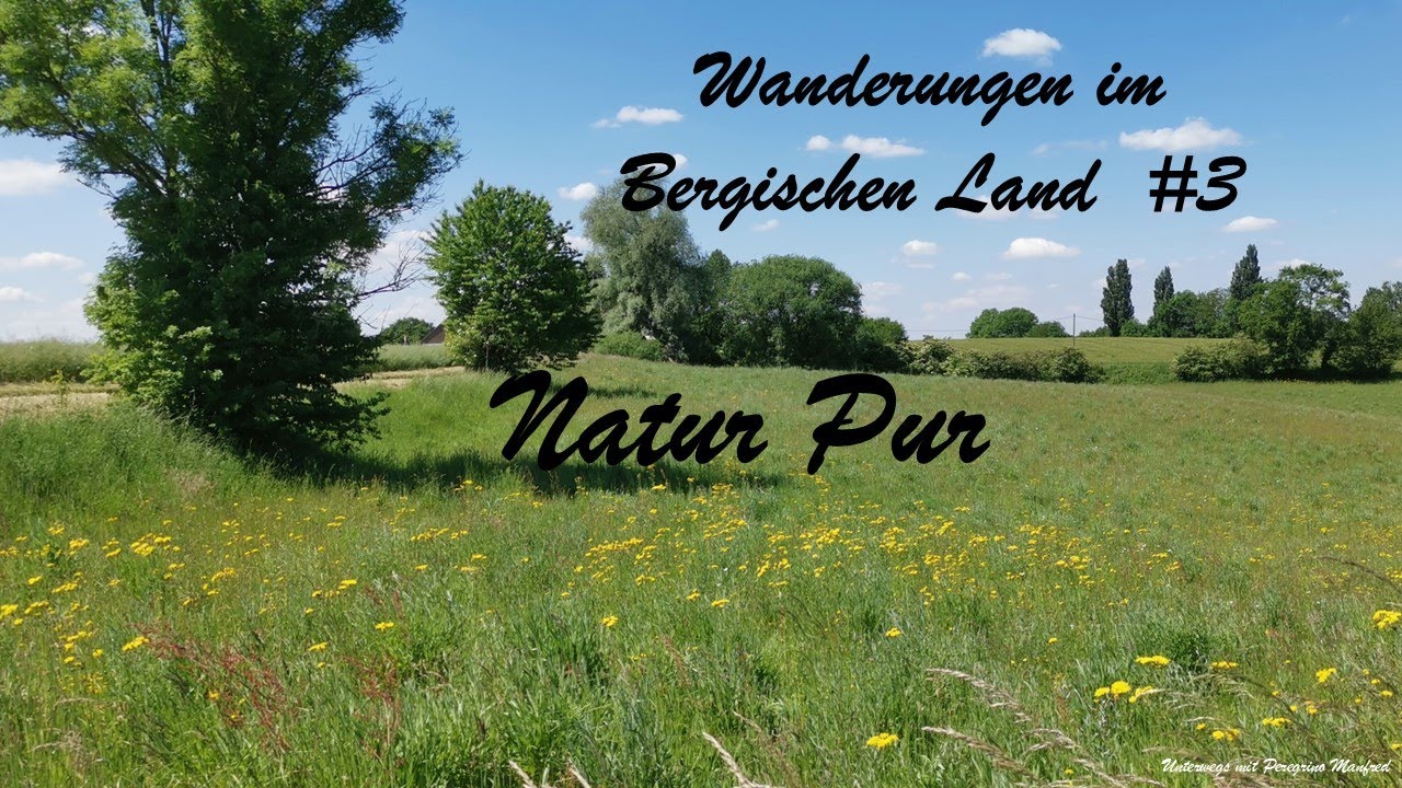 Bergische Wanderungen #3 Natur Pur