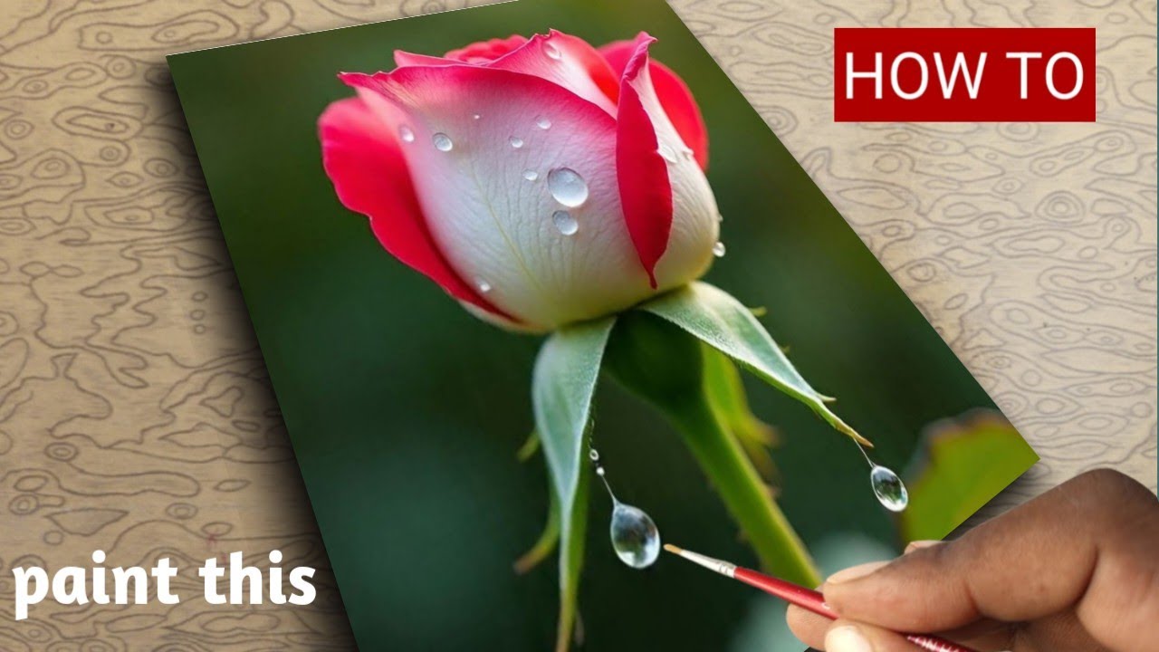 Hyper-Realistic Rose Painting | Water Droplets Art That Looks Like a Photo/oil painting/