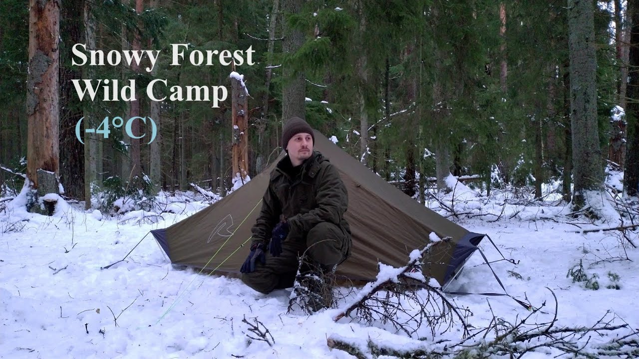 Snowy Forest Wild Camp | Robens Starlight 2 | January 2024 [English]