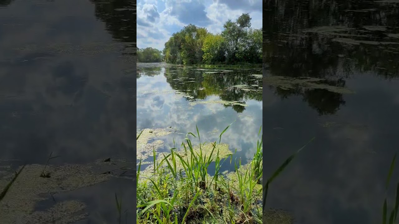 Scouting for fishing in Indiana. #newfishingspot #NWIfishing #EastChicagofishingspot