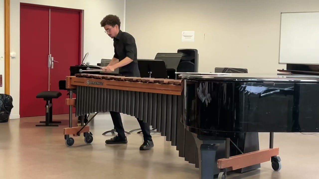 Luminosity (2) Tomasz Golinski DEM marimba