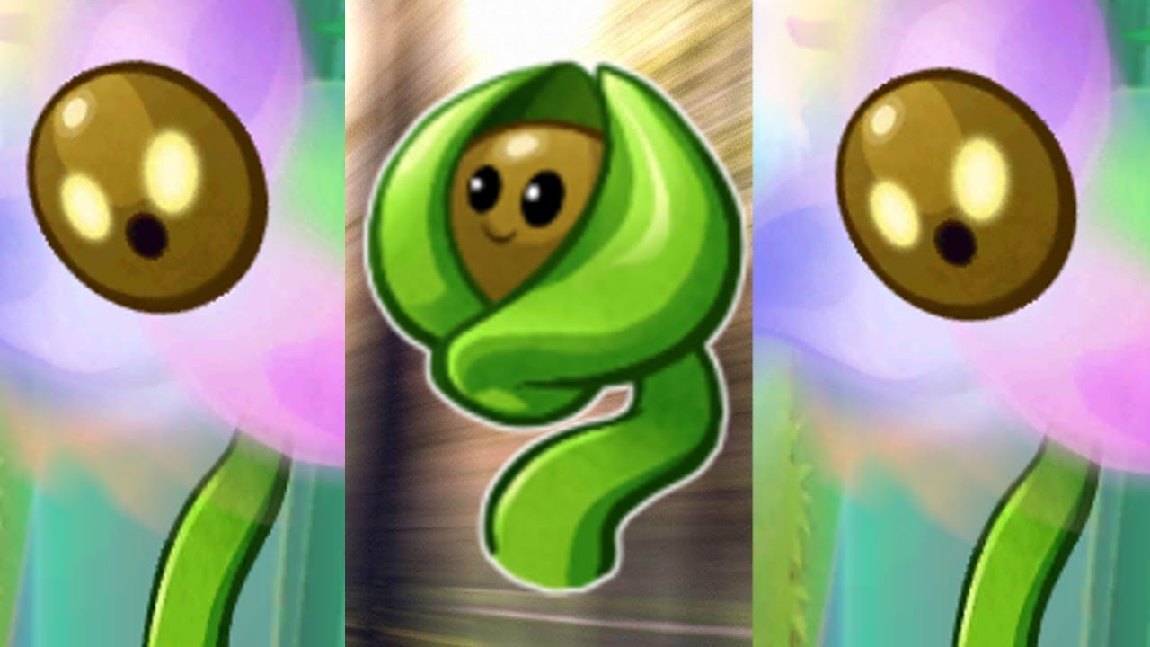 OTK Seedling LUL