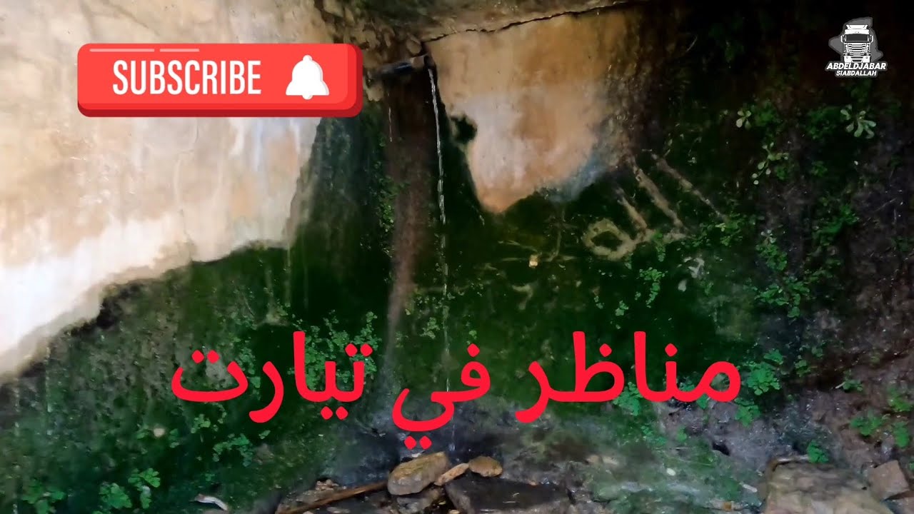 رحلة مثيرة عبر غرب الجزائر: من تيارت إلى معسكر على متن الشاحنة