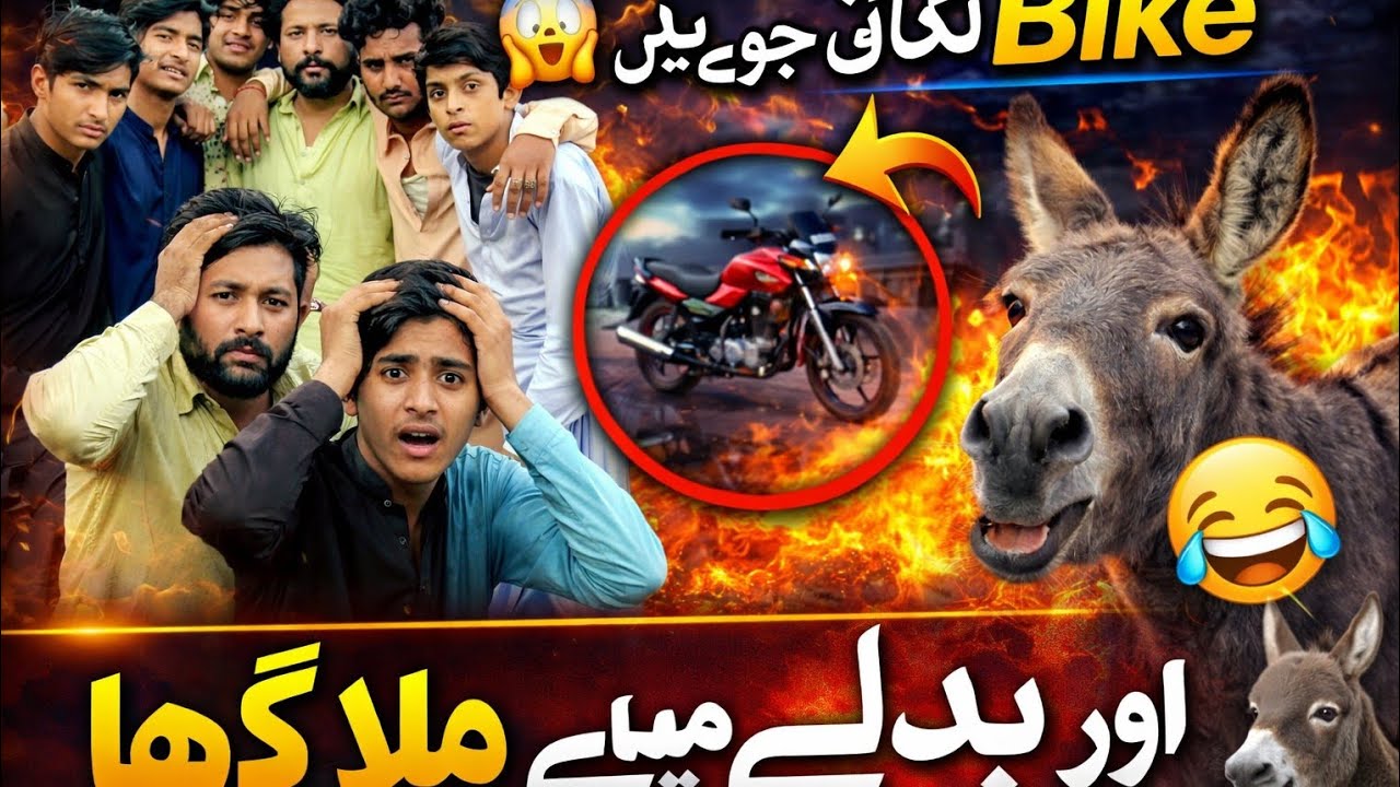 ہم نے بائیک جوئے میں لگا دی 😱 اور بدلے میں ملا گدھا! 🫏😂