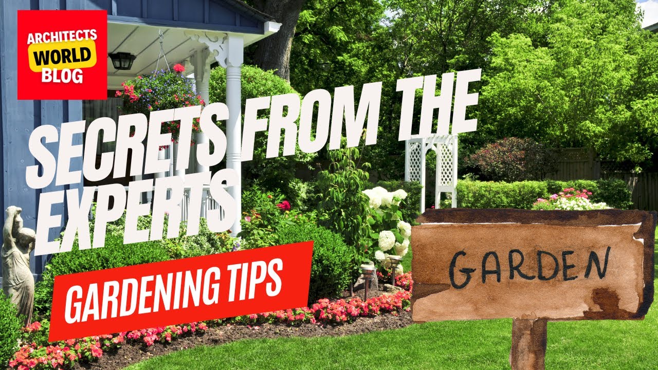 How to do landscape gardening? Choose Right Plants -Las Dos Marias  #landscapingtips #gardeningtips