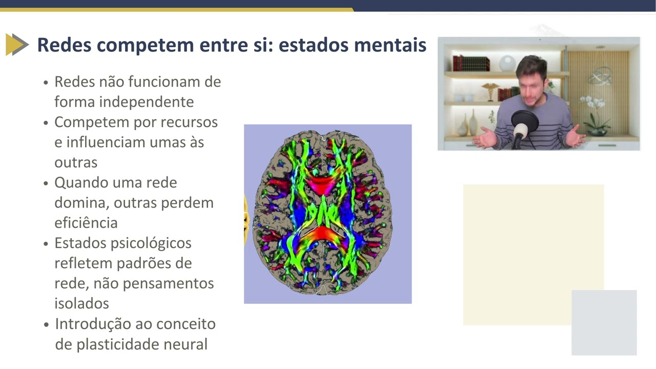 Redes Neurais e Plasticidade | Neurociência Aplicada à Psicoterapia | Prof. André Milian