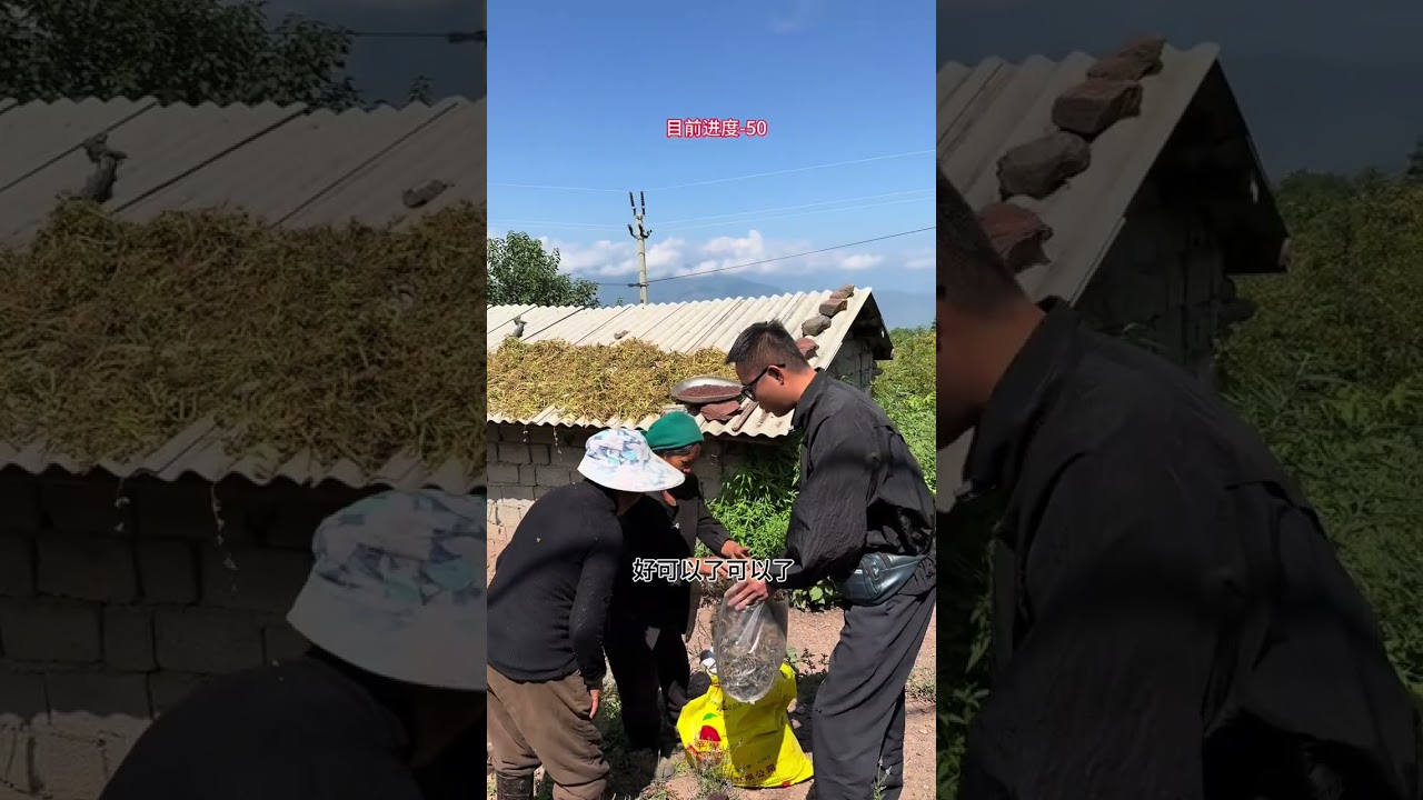 今天，天气很好，就像我的心情一样。这种与大自然同频的美好时刻，分享给你。也希望你的心情每天都艳阳高照。#乡村守护人 #乡村生活
