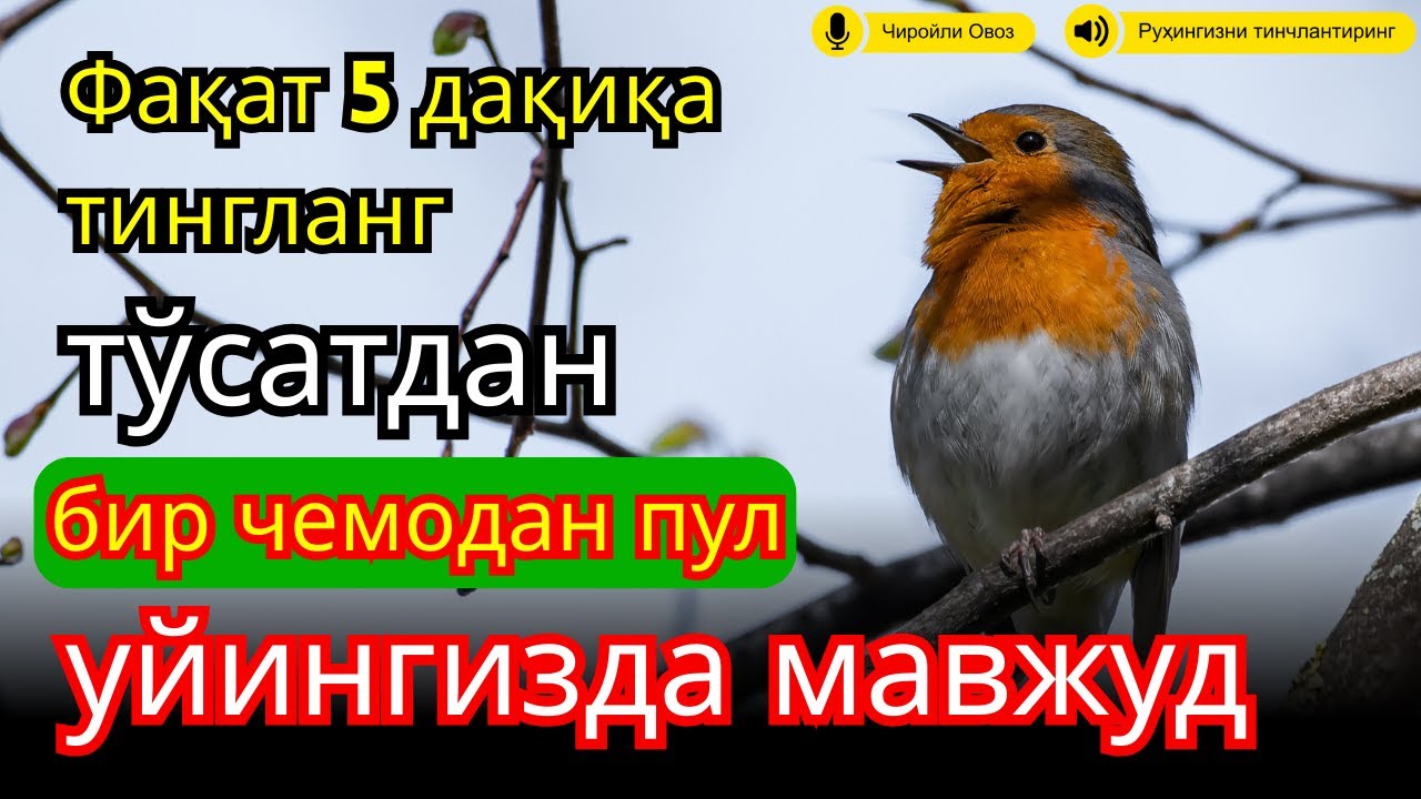 🔴ЭНГ КУЧЛИ РИЗҚ ДУОСИ БУ ДУОНИ ЎҚИНГ! КЎЗ ОЧИБ ЮМГУНЧА РИЗҚИНГИЗ КЕЛАДИ