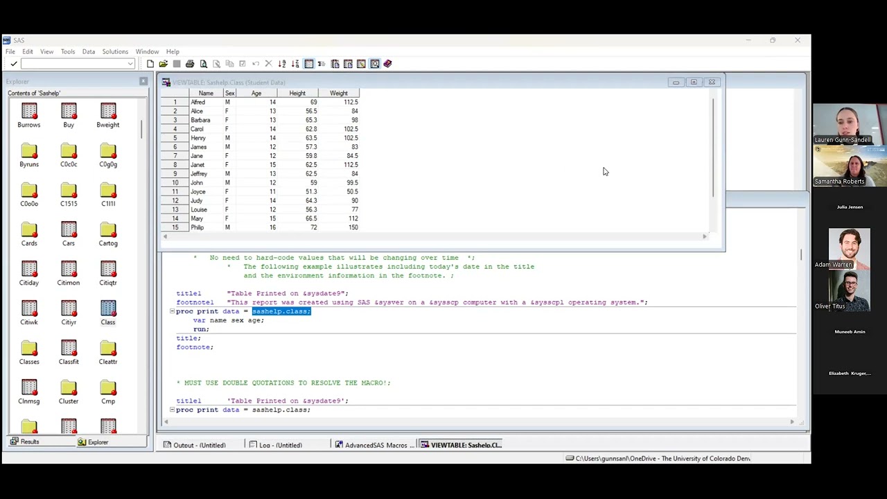 Advanced Data Management for SAS: SAS Macros