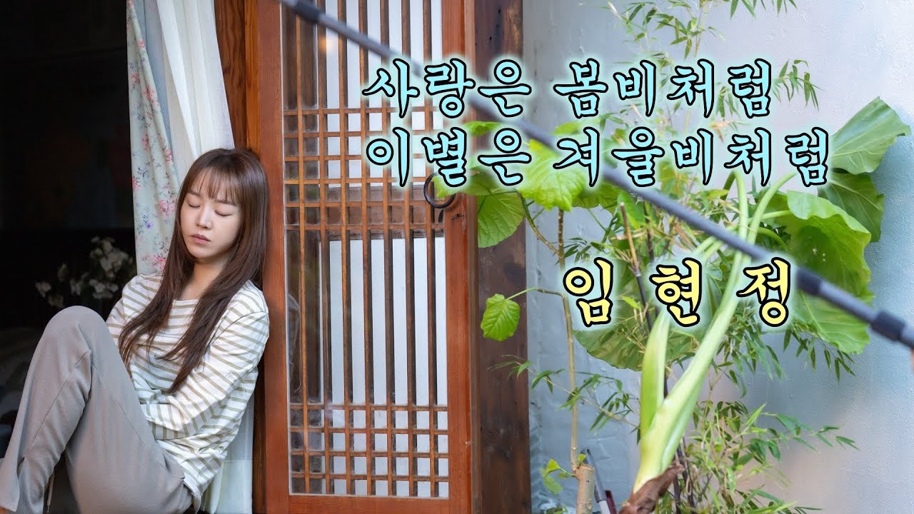 임현정 - 사랑은 봄비처럼 이별은 겨울비처럼