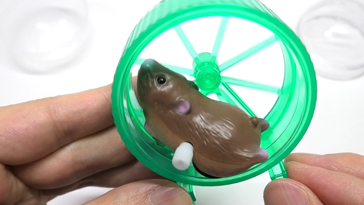 Hamster Wheel Gashapon Japan Souvenir