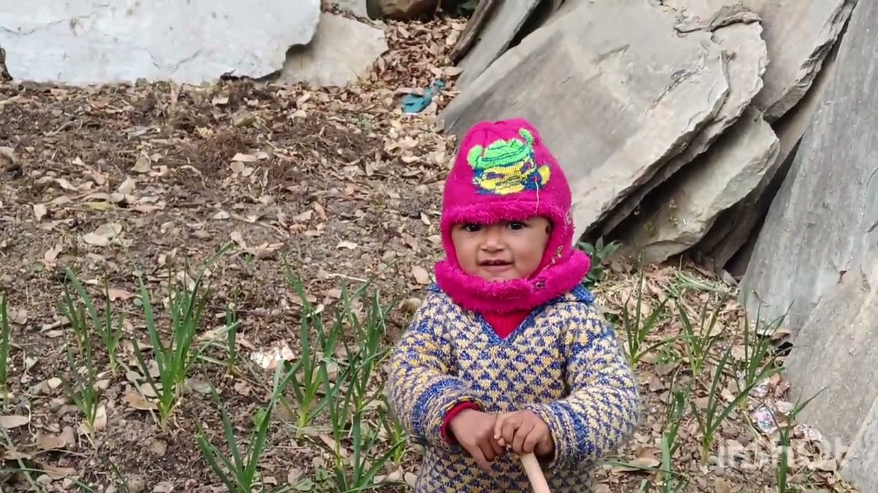 पुराने जमाने के गीत