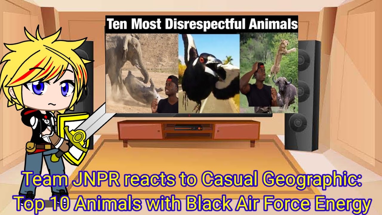 Team JNPR reacts to Casual Geographic: Top 10 Animals with Black Air Force energy