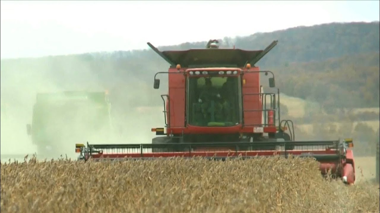Missouri farmers support Trump, despite tariffs