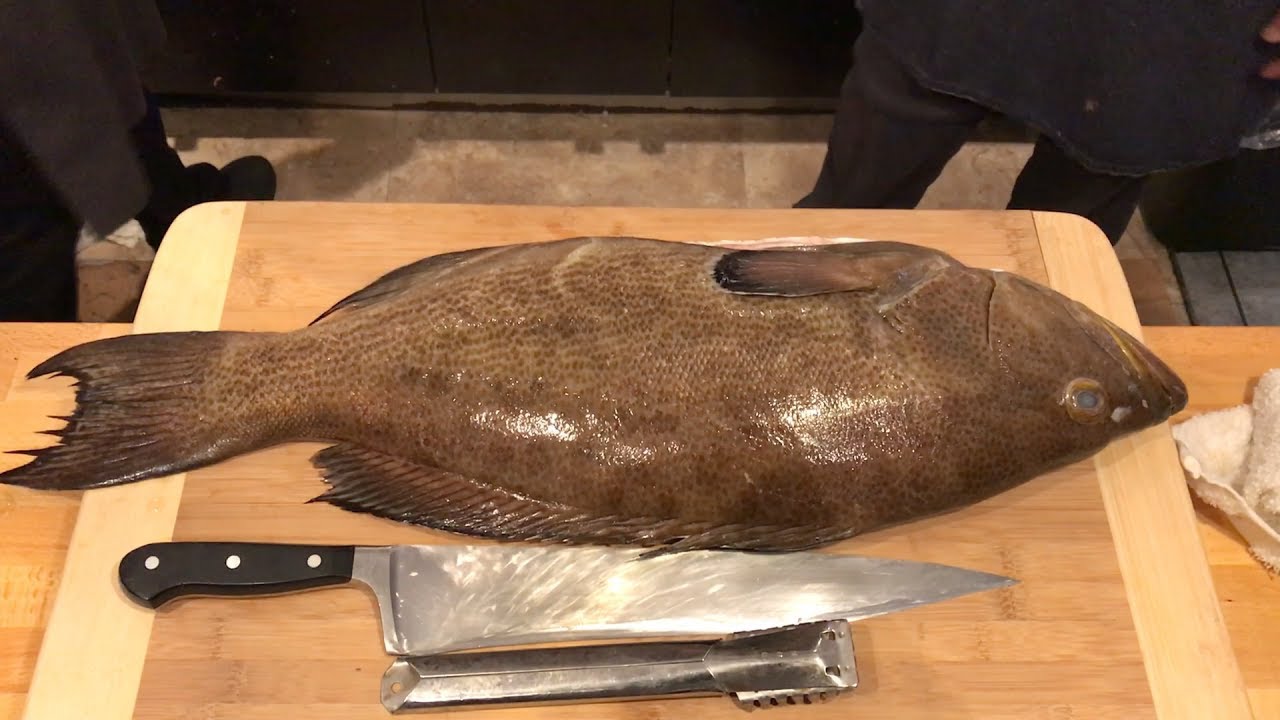 how to fillet grouper?