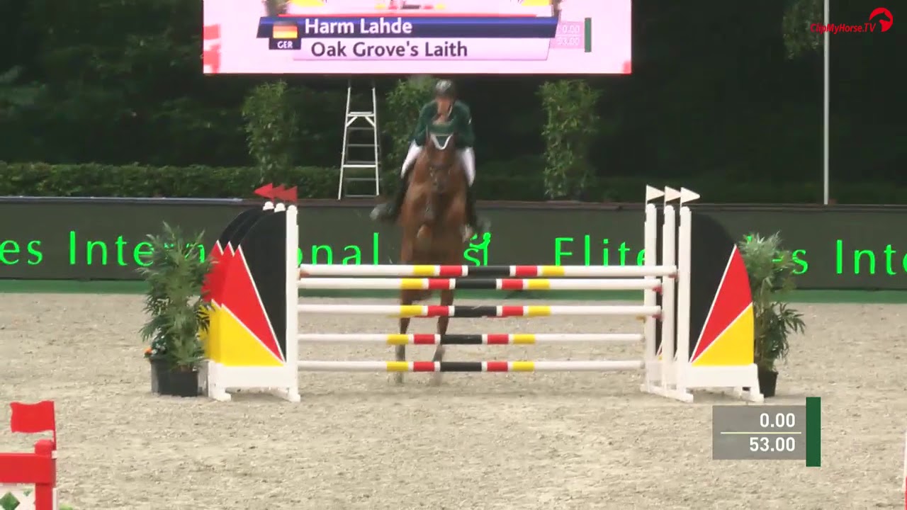 Laith, Equievents CSI1StarYH