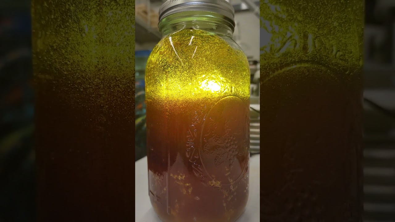 HTE | Caramel Apple Gelato