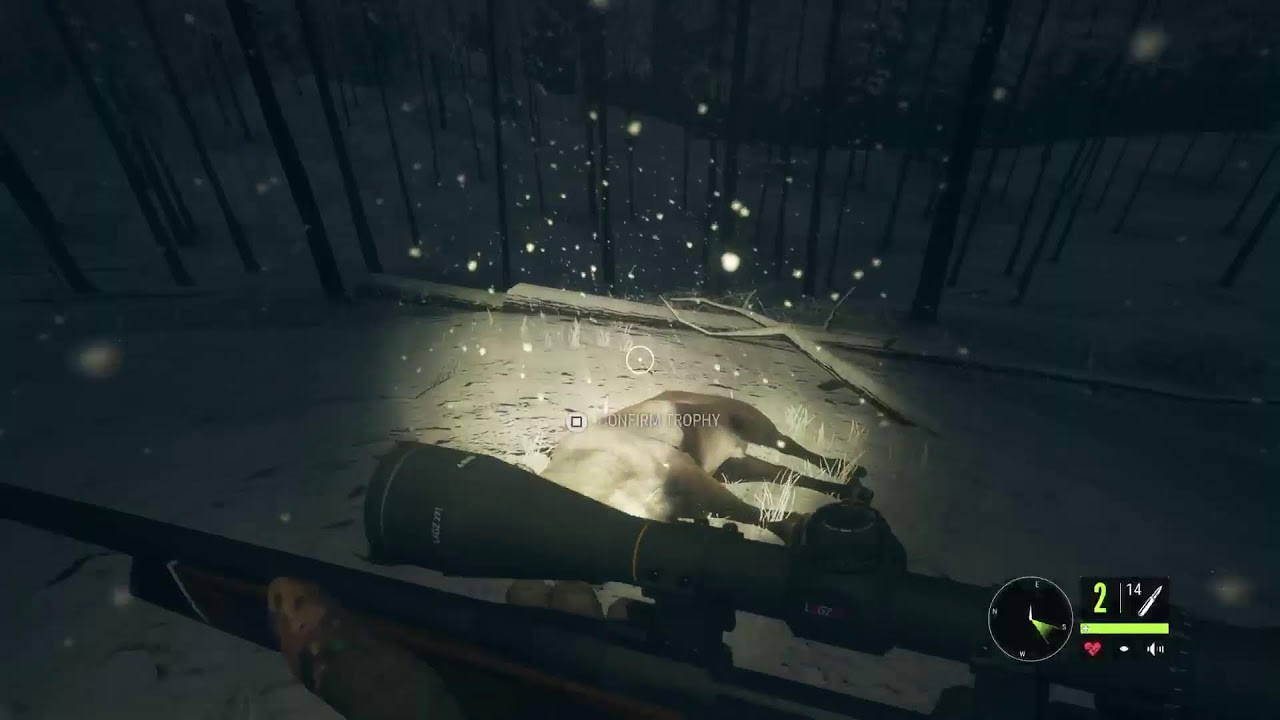 Ps5 Call of the Wild - doing missions