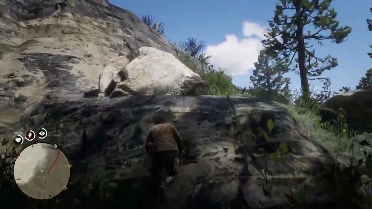 Physics - Red Dead Redemption 2