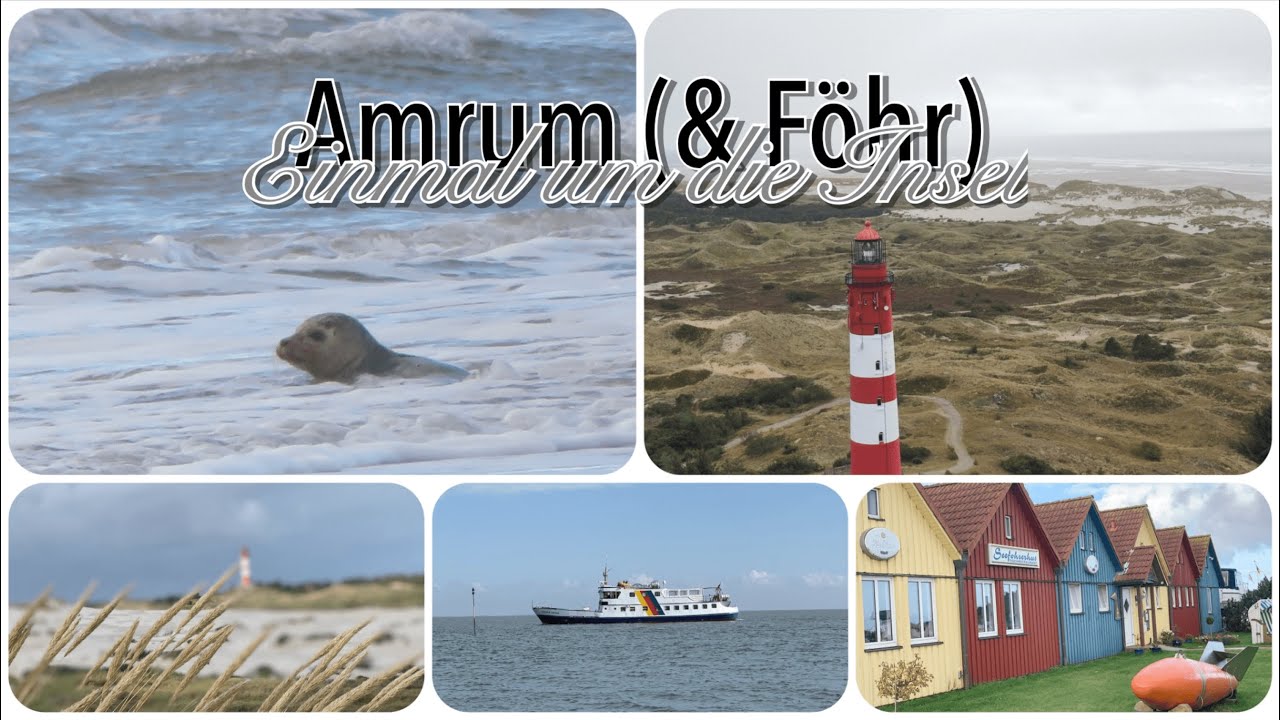 Rund um die Insel Amrum: Weiter Strand, Dünen, Leuchtturm & Seehunde (Doku)