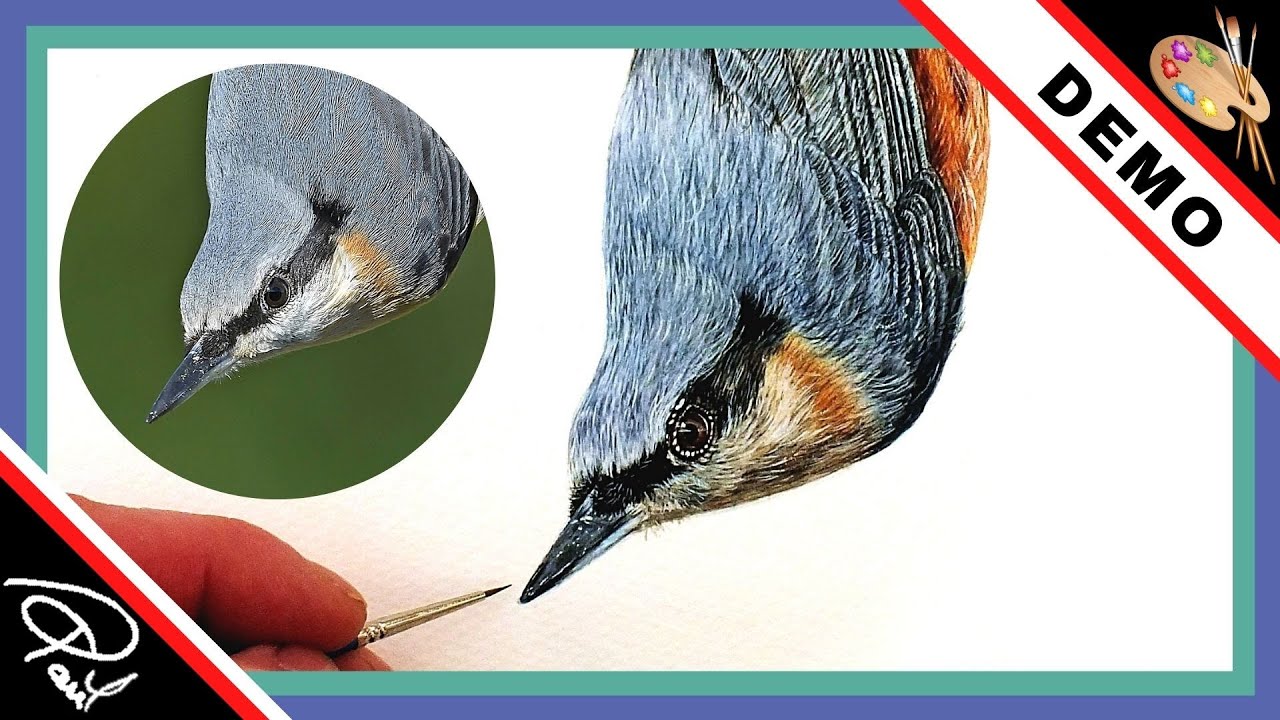 How to paint a realistic bird in Watercolour