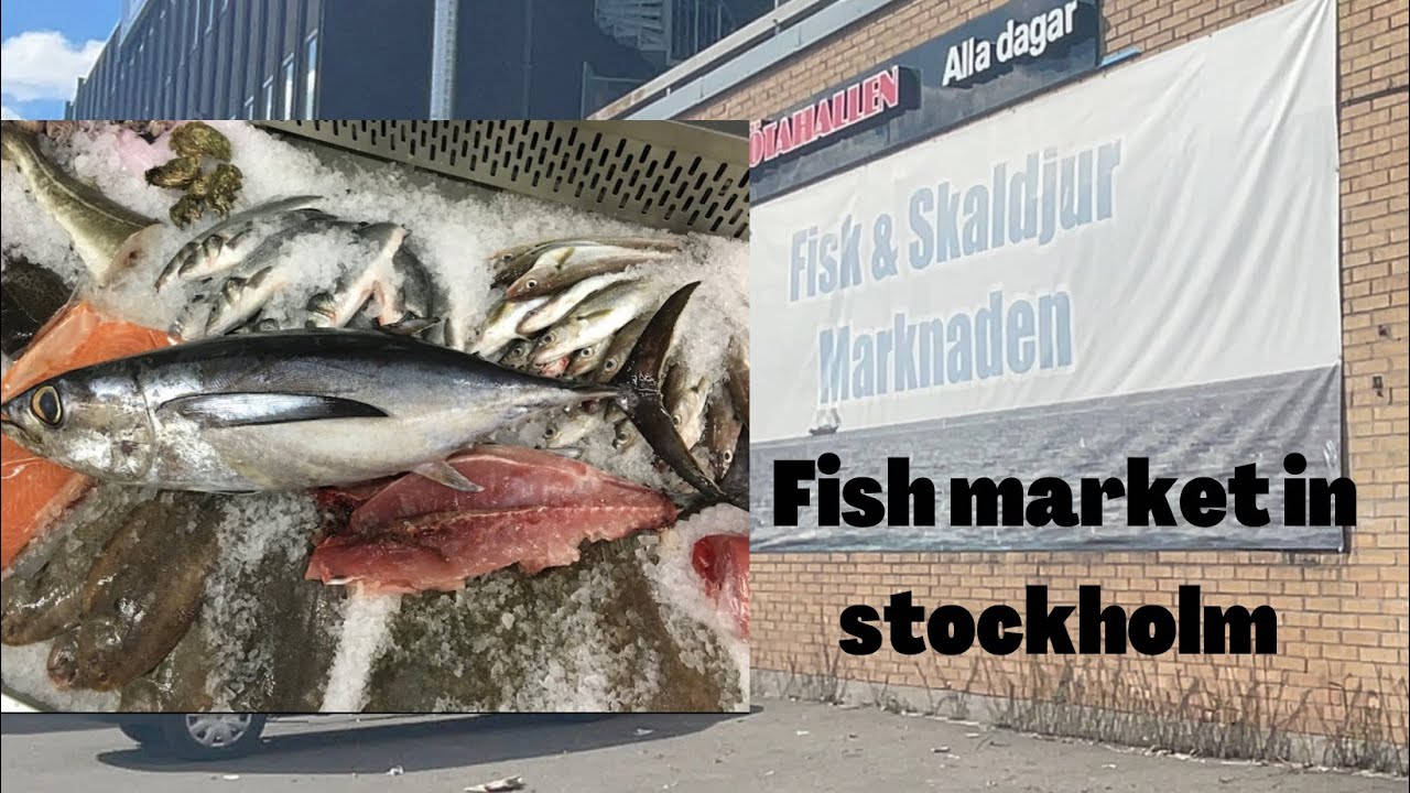 Fresh indian fish seafood market in stockholm | tamil vlog | #seafood #fishmarket #stockholm