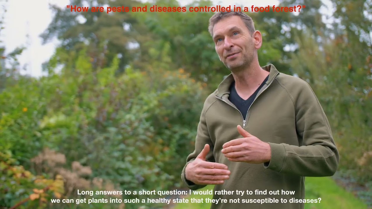 The ecological benefits of an edible Forest Garden