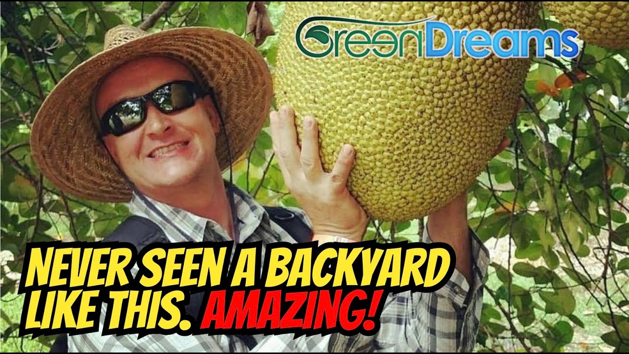 This May Be The Best Personal Fruit Forest Yard I've Ever Seen