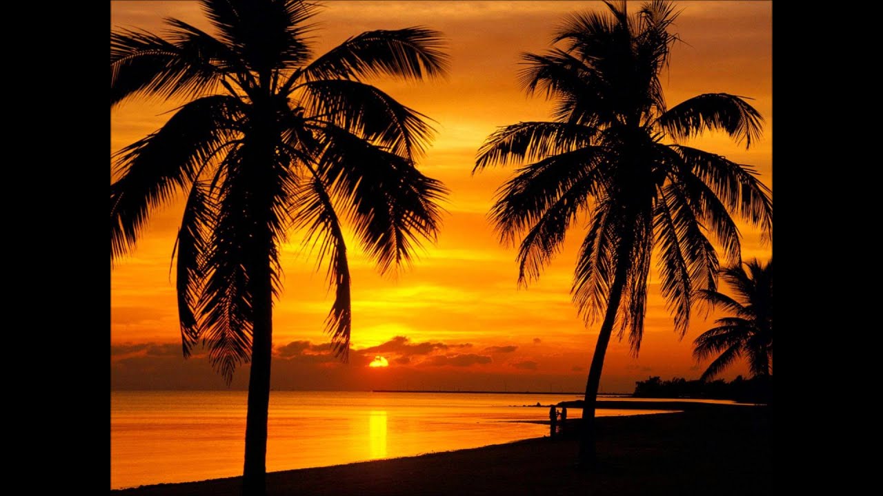 Moo - Sunset at Keywest