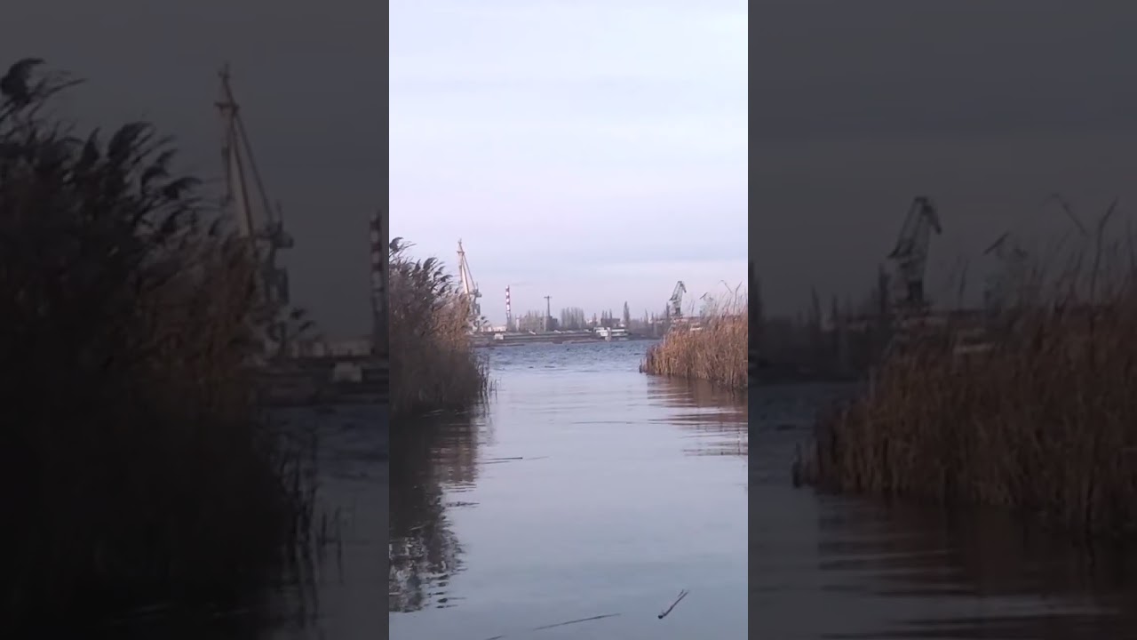 Украинский Херсон. Живописная Дельта Днепра. Украина #shorts