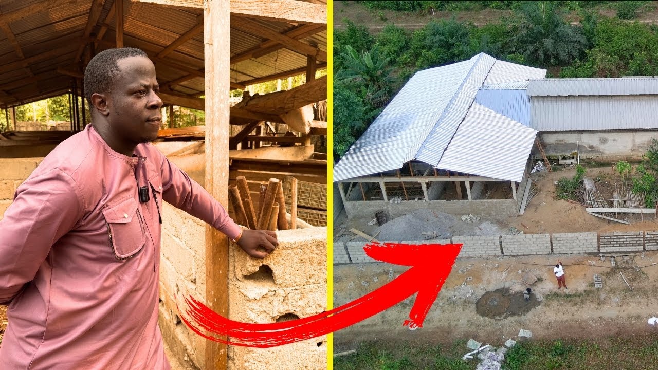 Modernisation d’une ferme porcine au Cameroun : Le projet ambitieux d’un compatriote de la diaspora