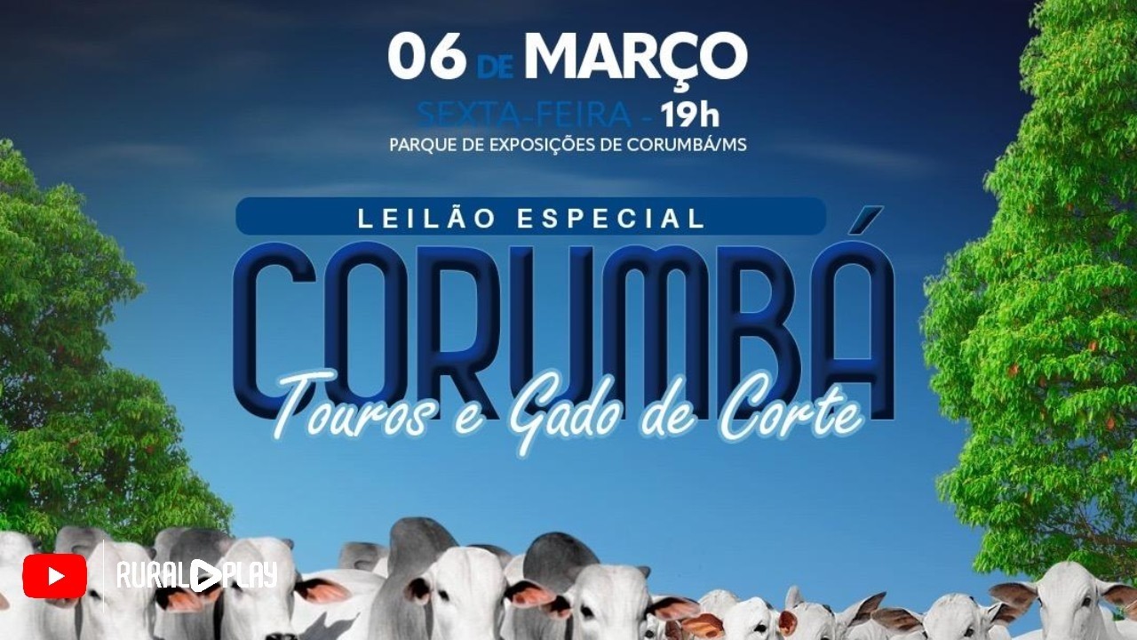 LEILÃO ESPECIAL CORUMBA • TOUROS E GADO DE CORTE - CORUMBA/MS - RURAL PLAY