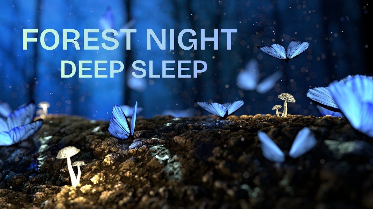 Forest Night Ambience for Deep Sleep | Calm Night Sounds | 8 Hours
