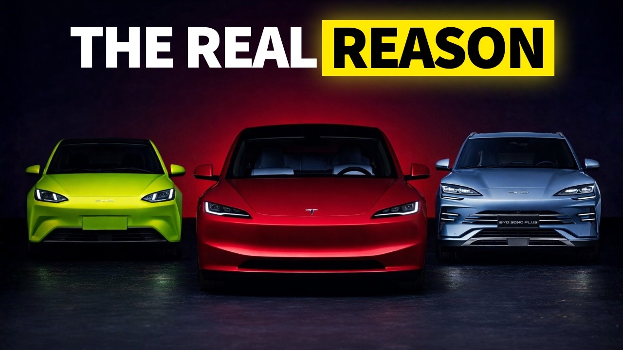 Why South America Ditched American Cars - US vs CHINA