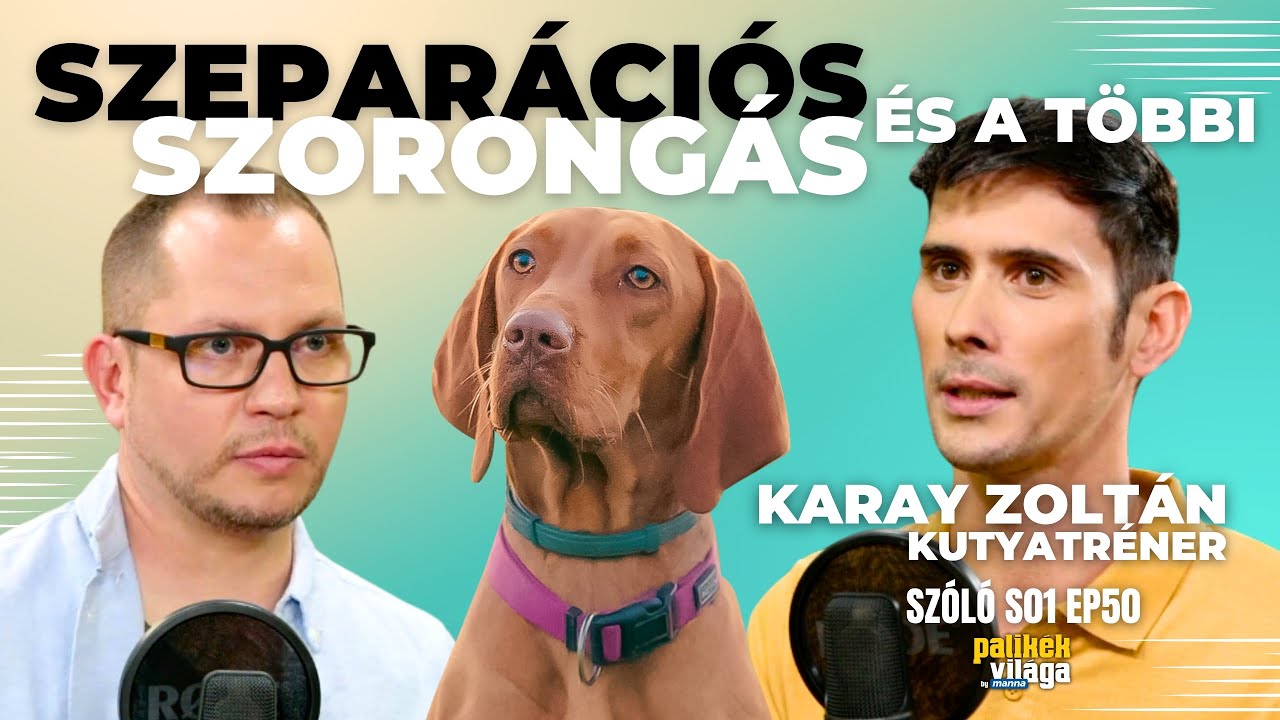 SZEPARÁCIÓS SZORONGÁS ÉS A TÖBBI - KARAY ZOLTÁN KUTYATRÉNER / Szóló / Palikék Világa by Manna