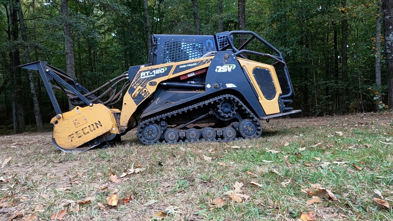 Incredible Backyard Transformation with Forestry Mulching