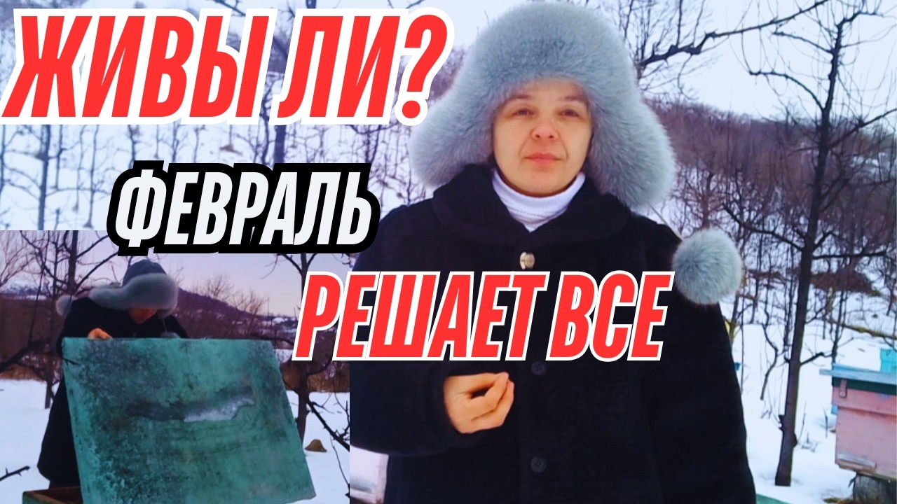 👉 21 ФЕВРАЛЯ ОТКРЫЛА УЛЬИ… А ТАМ ... ФЕВРАЛЬ РЕШАЕТ ВСЁ