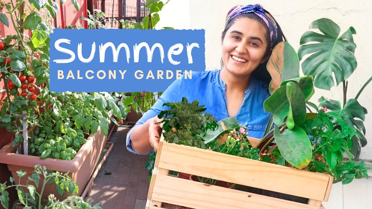 Summer Garden| What I am growing and How I am growing in my Balcony