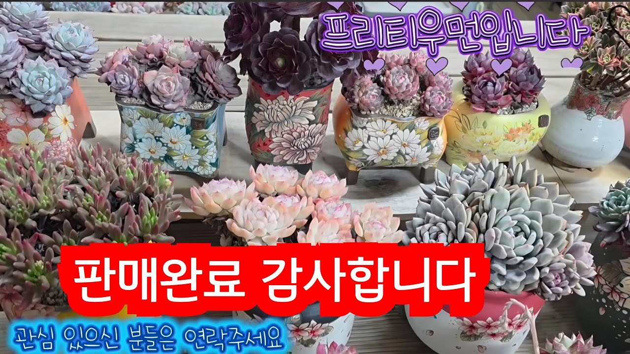 26.02.24.매냐님 물건 매대째 가져가실분 문의 010.9500.9207입니다